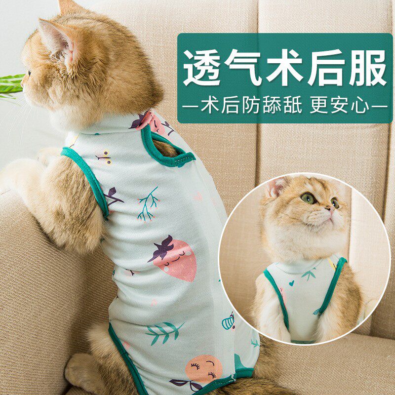 母猫绝育服手术后穿的衣服小狗通用透气舒适幼猫断奶服装大小调节