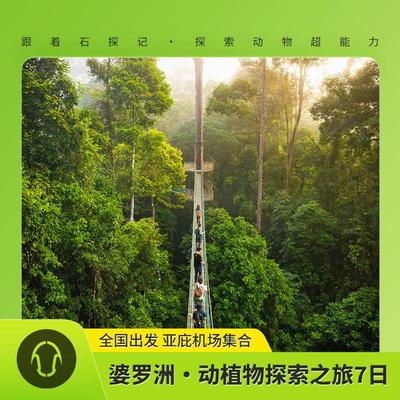 !|暑期特惠|!婆罗洲雨林，自然爱好者的天堂