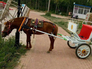 带夹板马套 老式 旅游观光马车马套挽具 马车配件 木马套拉车