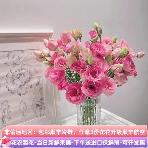 小清新洋桔梗多色可选基地直发