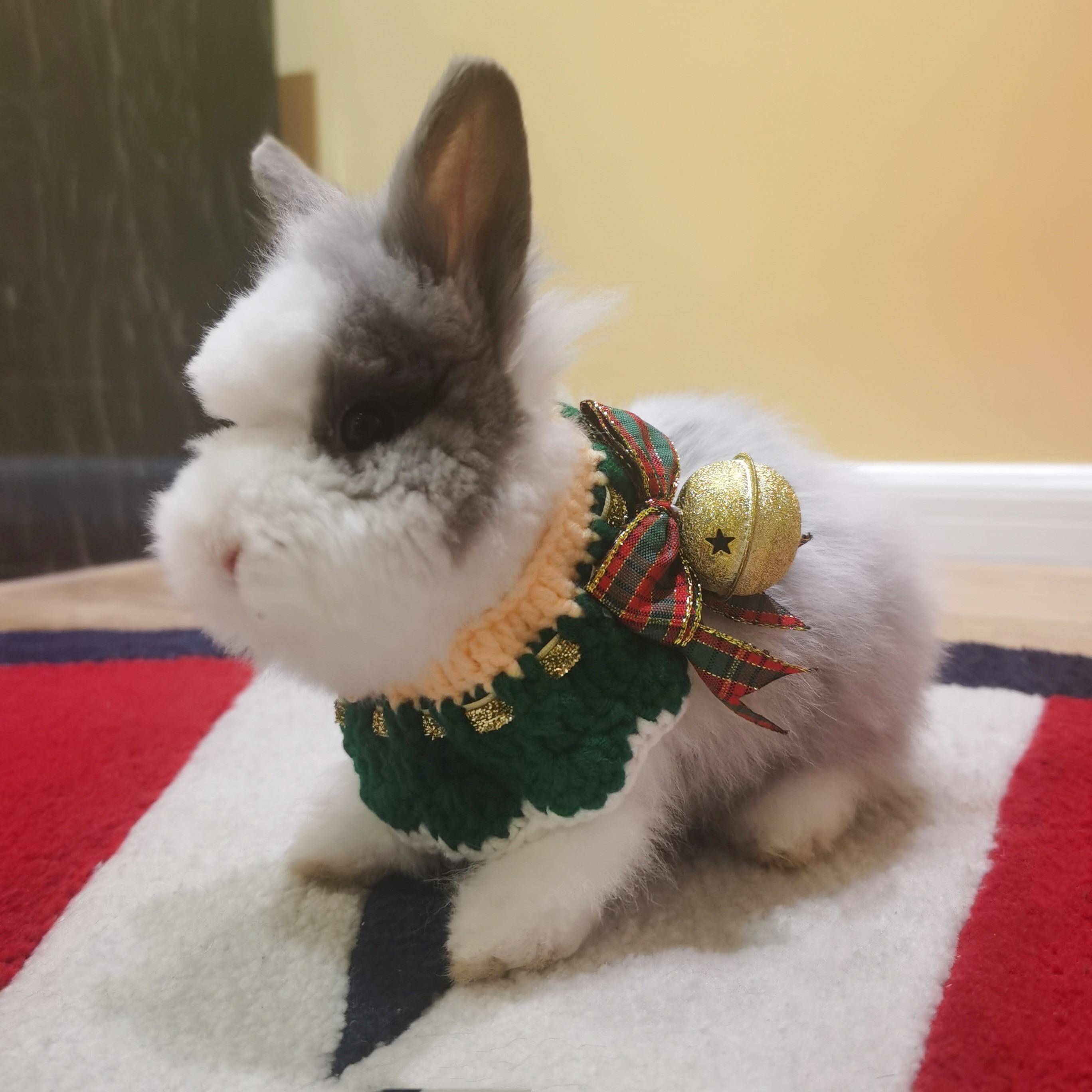 可爱兔子新年战袍保暖背心