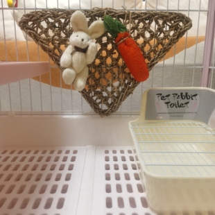 兔子磨牙玩具龙猫荷兰猪笼内防护草垫苹果木啃咬板网玩具装饰