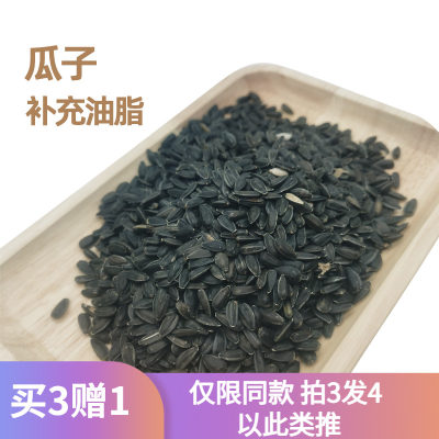 龙猫嗑瓜子新鲜美毛零食