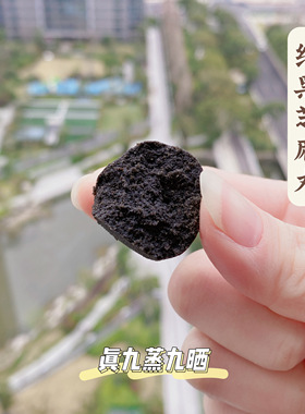 燕姐食养真九蒸九晒黑芝麻丸无蔗糖纯芝麻孕妇小孩老人都能吃