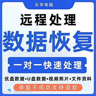 电脑数据恢复维修文件U盘硬盘远程sd卡相机照片丢失找回误删文档