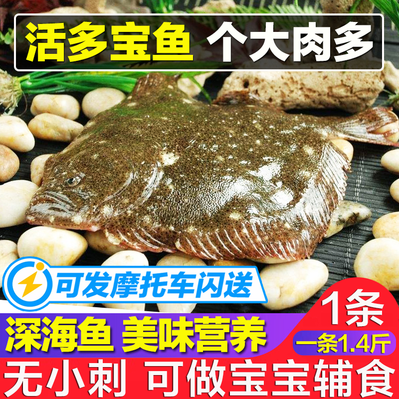 700g大多宝鱼新鲜活石斑鱼活体比目鱼重庆海鲜水产深海鱼约1.3斤