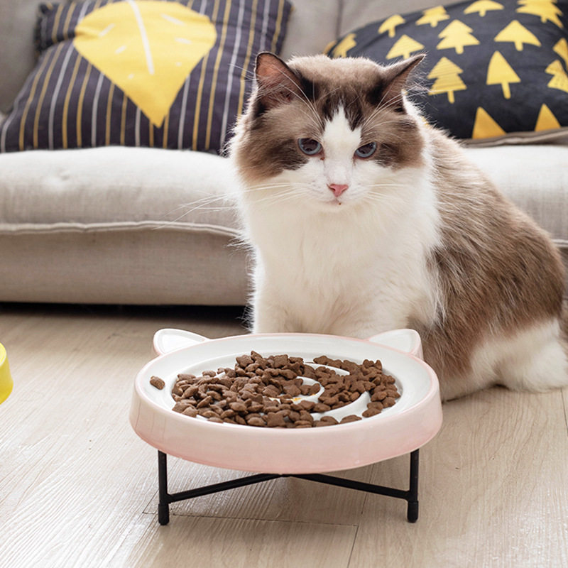 一件代发慢食碗猫碗陶瓷猫咪缓食盆猫粮狗狗防噎幼犬幼猫狗盆宠物图片
