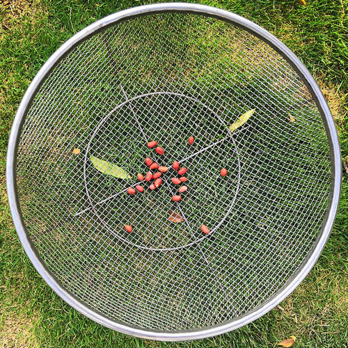 定制304漏网不锈钢沥水过滤网