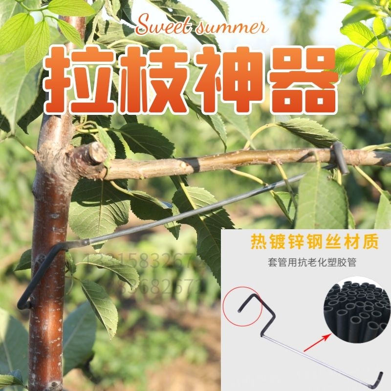 永德助果树改进型拉枝器开角器弯枝器拨枝器拉枝工具压枝定型器