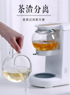 鸣盏全自动煮茶器家用养生壶多功能煮茶壶智能泡茶壶办公茶饮机
