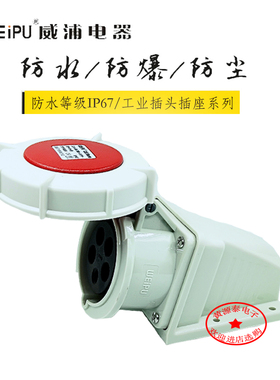 WEIPU 威浦电器 工业插座 32A5芯 TYP8824 明装插座 防浸IP67