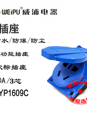 威浦航空插工业插连接器插头TYP1609C 防水IP44欧式插座(10A3芯)