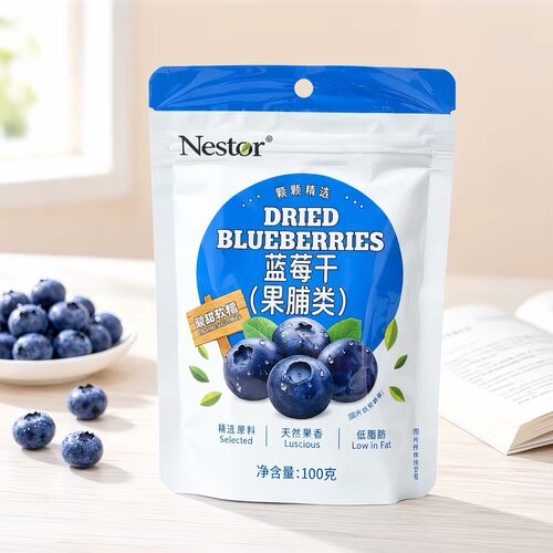 nestor蓝莓干100g果脯酸甜软糯