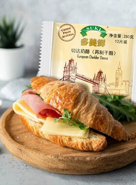 临期清仓奥地利进口多美鲜马苏里拉奶酪再制干酪250g烘焙即食汉堡