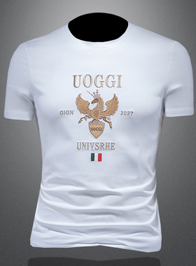 2025夏季欧货 IUIUG轻奢潮流刺绣丝光棉短袖t恤男 D320-88008-P75