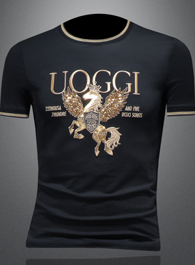 2025夏季欧货 IUIUG轻奢潮流刺绣丝光棉短袖t恤男 D320-88012-P75