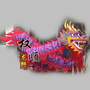 龙灯绸缎布龙 舞龙道具龙灯道具 舞龙舞狮灯光龙舞台活动表演特u.