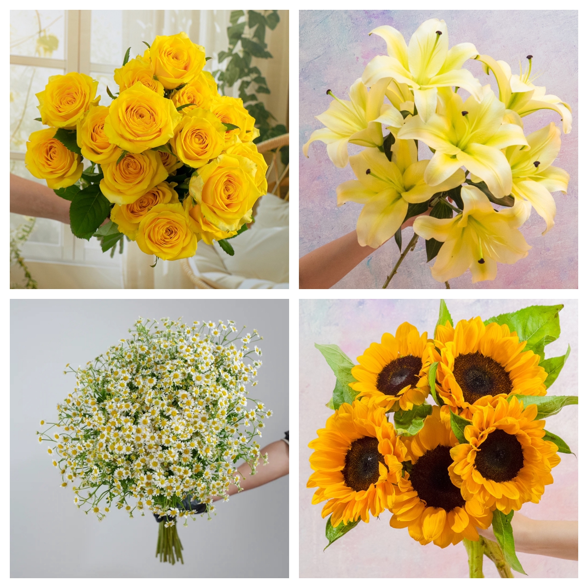 黄玫瑰10枝+洋甘菊1扎+黄百合10朵+向日葵2枝+黄莺5枝+保鲜剂