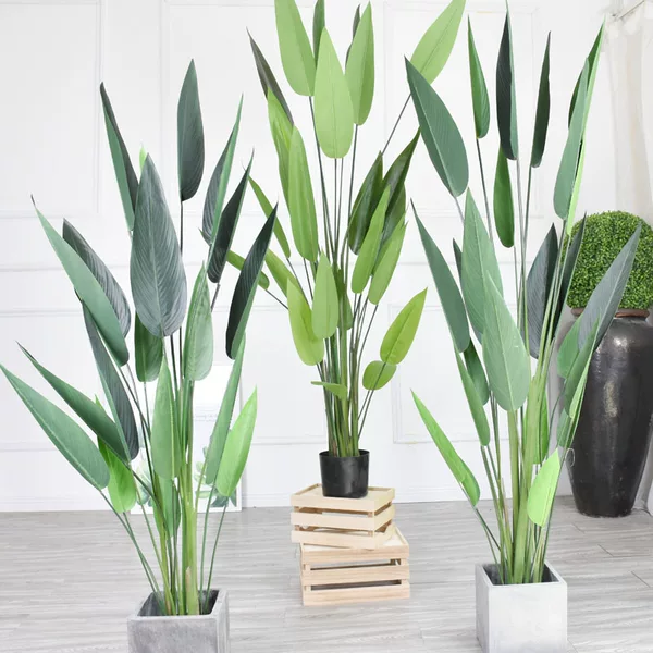 Товары от 清雅服饰