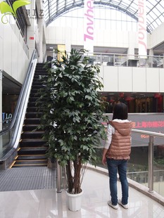 仿真树 假树 仿真粗杆2米2大榕树 仿真植物 工程布置装 饰