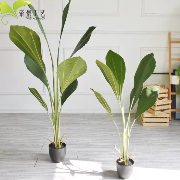 Товары от 清雅服饰