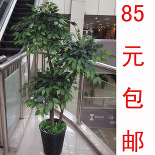 彷真植物装饰人造茂盛榕树3杆幸福榕树真杆客厅办公落地花艺大型