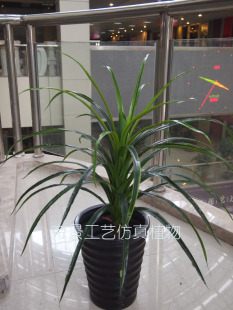 费仿真植物树假装 饰花 免邮 高仿单头龙血千年铁树居家园艺工艺布景