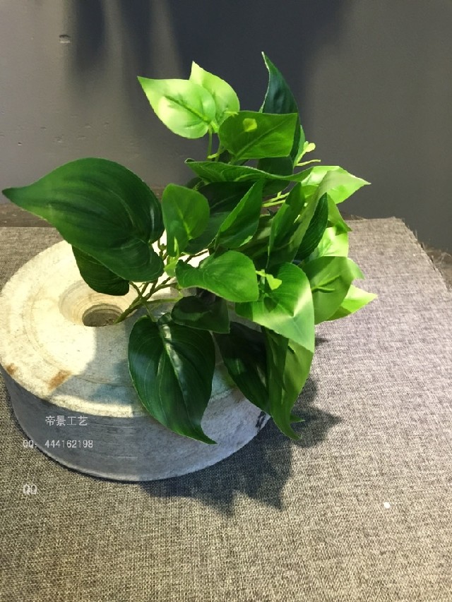 小植物绢花吊兰摆件绿萝叶