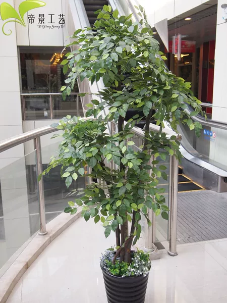 Товары от 清雅服饰