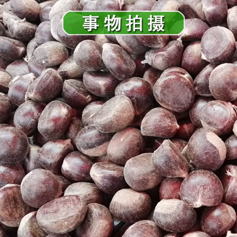 沂蒙山野生板栗生 新鲜板栗 小油栗 老树栗子 毛栗子带壳包邮