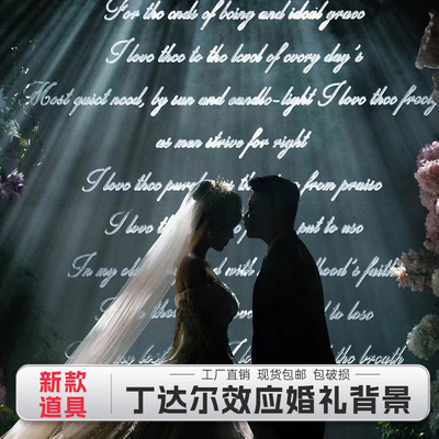 新款婚庆丁达尔效应发光背