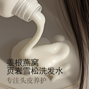 姜根燕窝洗发水+页岩雪松洗发水 专注头皮养护不油不痒