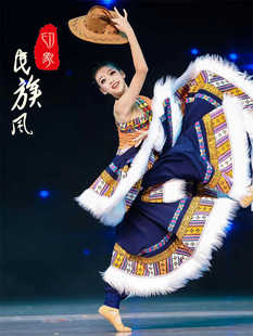 女款藏族次仁拉索舞蹈演出服装女民族风半身裙藏族艺考独舞大摆裙