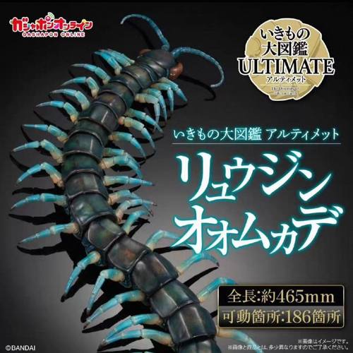 现货正版万代生物仿真图鉴琉神青龙蜈蚣Premium超大46cm可动模型