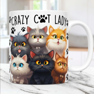 crazy cat lady 猫咪爱好者居家咖啡马克杯 朋友生日礼物水杯