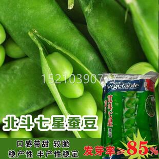 北斗南七星大型豆种蚕籽DJE种子特大高产小农家蔬菜方大粒蔬莱孑