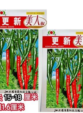 农望更新美人椒辣椒种子大果抗病红果美人椒种子抗病高产春秋种植