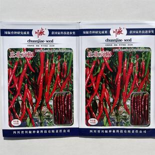 丘北贡椒种子早熟果面光滑顺直辣椒种籽高产抗病大田红尖椒味香辣