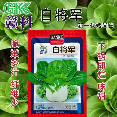 赣科白将军矮脚白小白菜矮脚白梗菜青菜味甜脆嫩四季菜种蔬菜种子