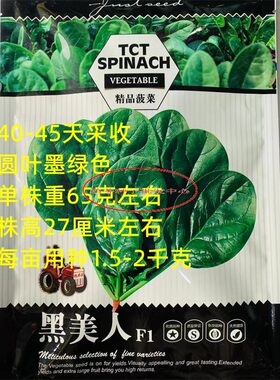 拖车头黑美人菠菜种子高产抗病耐热耐抽苔精品菠菜种籽四季蔬菜孑