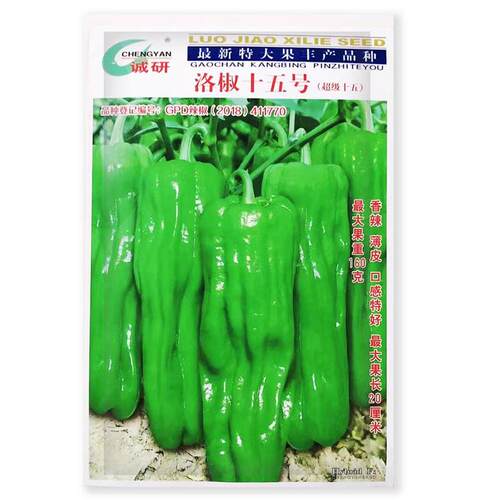 洛椒15号三病早熟品种辣耐低OTZ温皮薄质嫩味交抗强基地专用种