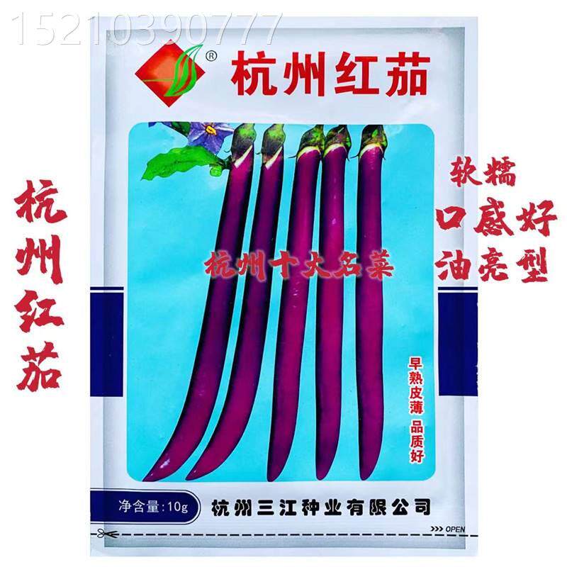 杭州红茄种子大田专用高产早熟紫红线长茄子蔬菜瓜果籽发芽率高