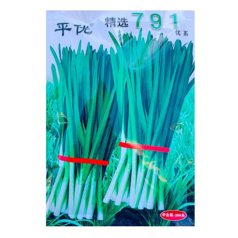 平优精选791 韭菜种子宽叶大叶雪韭高产盆栽不枯苗多年生种孑LT