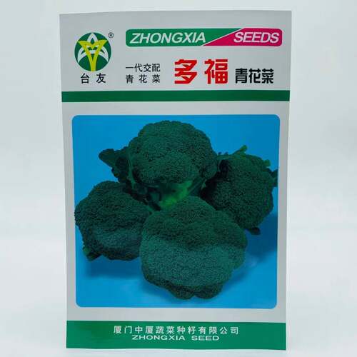 多福青花菜种子一代交配高产青梗西蓝花菜春秋播优质西兰花种子LT