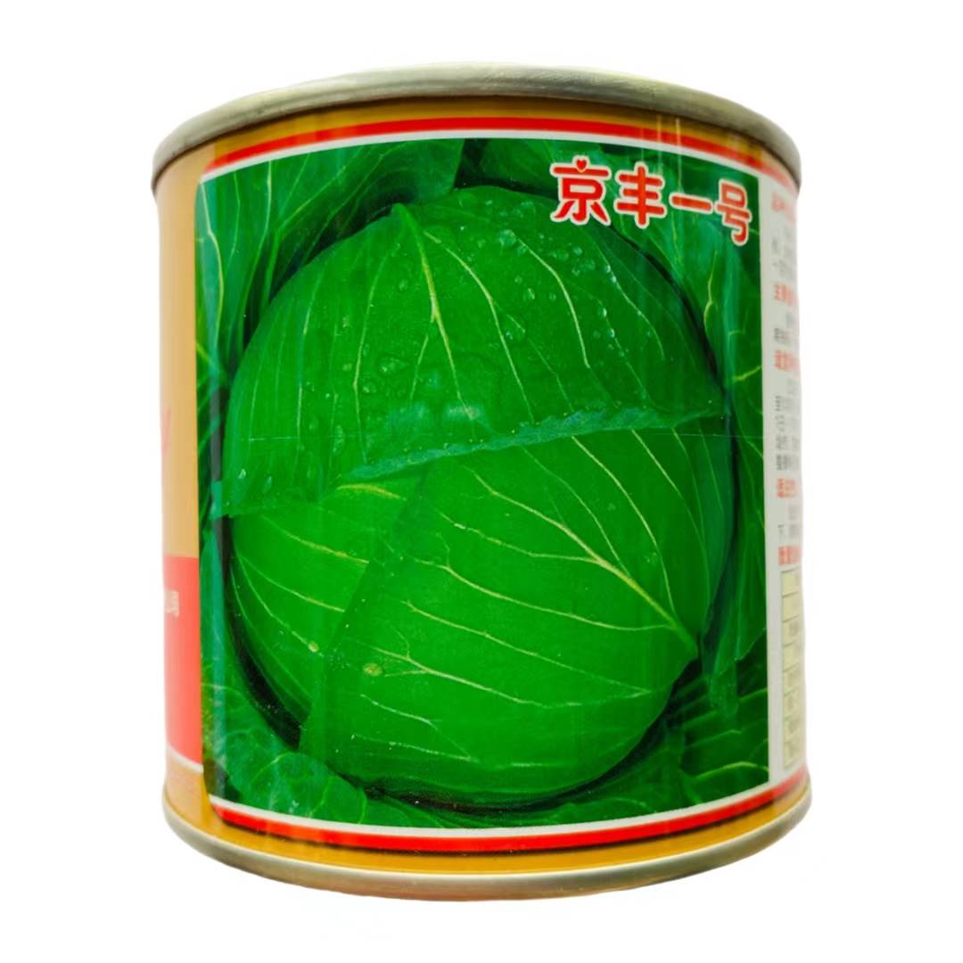 京丰一号甘蓝种子中甘十一结球甘兰包菜种籽卷心菜春秋季蔬菜种子