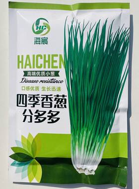 四季香葱分多多小香葱种子葱头春季葱种小葱种植分葱蔬菜种籽孑子
