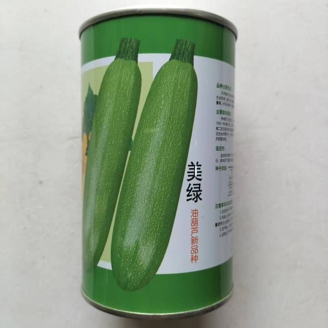 美绿进口西葫芦种子耐热耐寒杂交油亮西葫芦种籽春秋季菜瓜种子