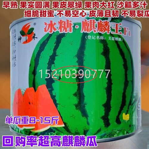 2k冰糖麒麟西瓜种子4美甜麒麟西早佳84西瓜种籽瓜种四季春季RPI甜