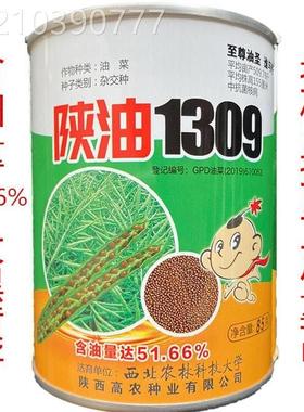陕BTH油1309杂交油菜籽榨油油用高产抗倒 籽菜花种矮油菜种秆子85