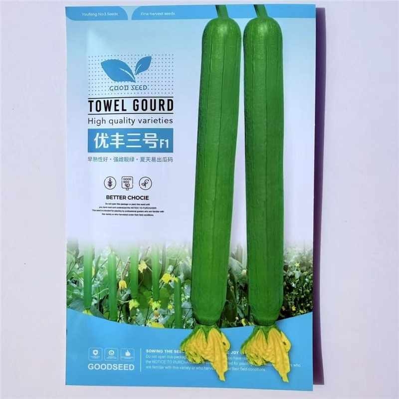 优丰三号丝瓜种子杂交早熟高产抗病耐热耐寒春秋播丝瓜种籽基地种